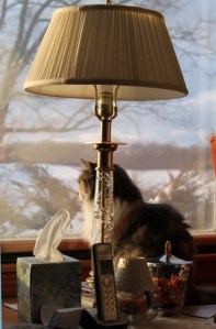 2012_01_28_0661 Small