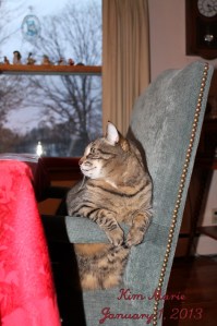 2013_01_01_3997 SMALL Name