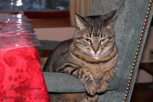 2013_01_01_3998 SMALL Name