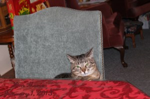 2013_01_01_3999 Small Name