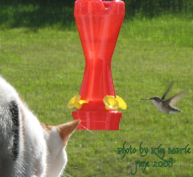 IMG_5274 Small Signed Small