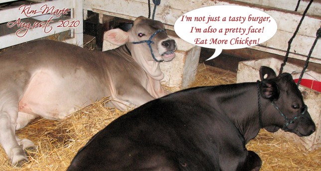 IMG_5671 Talk Small Sign