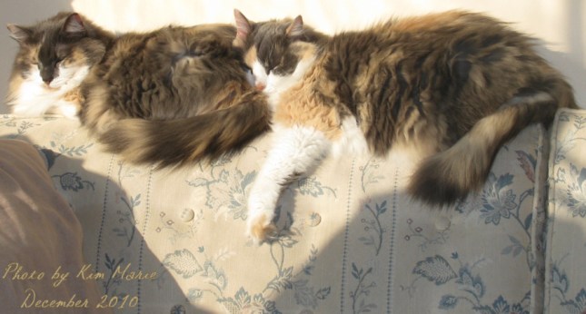 IMG_6411 Small Signature