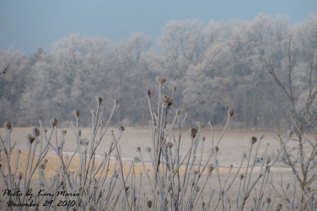 IMG_6424 Small Signed