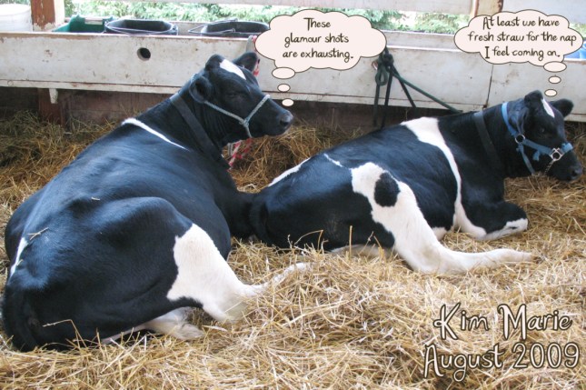 IMG_8966 SMALL Signed