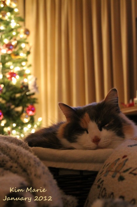 2012_01_01_0555 Sign