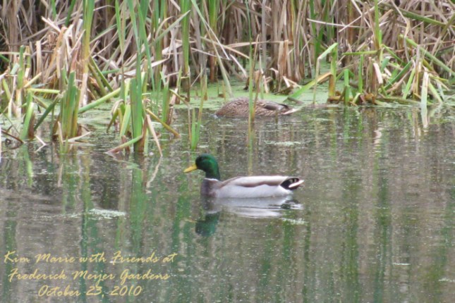 IMG_4517 Small SIgned