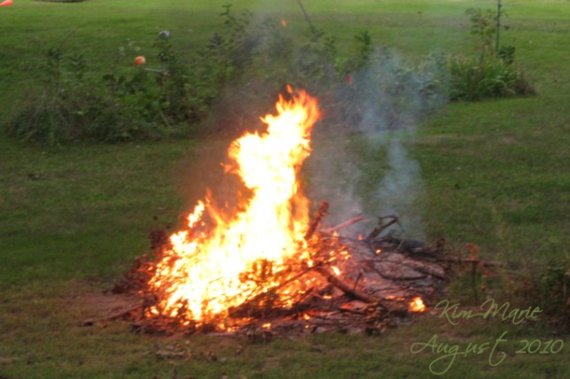 IMG_5818 Small Signed