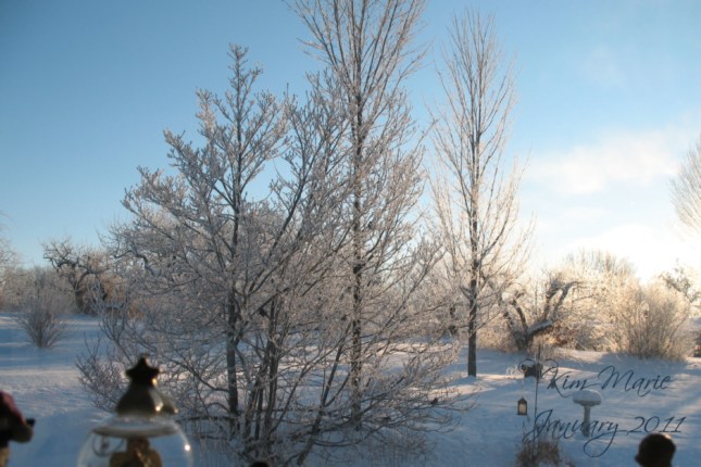 IMG_6044 Small Signed