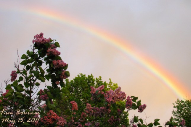 IMG_8642 Small Signed