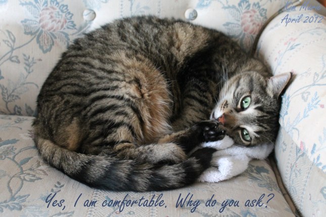 2012_04_11_0875 Sign