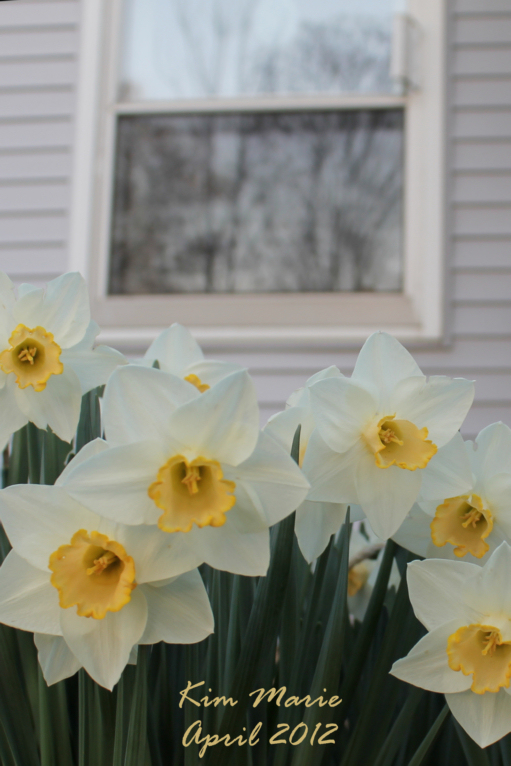 2012_04_11_0876 Sign