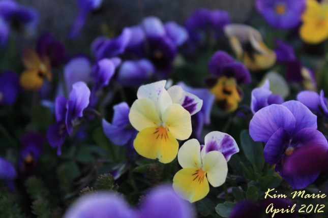 2012_04_11_0932 SIGNED