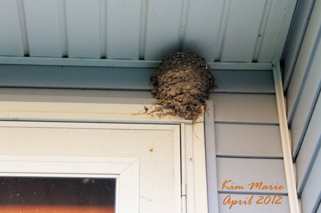 2012_04_11_0936 Signed