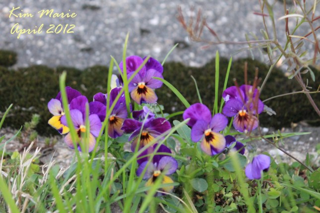 2012_04_11_0940 SIGNED