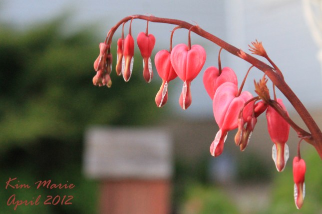 2012_04_11_0953 Signed