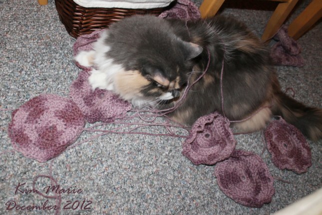 2012_12_16_3812 Sign