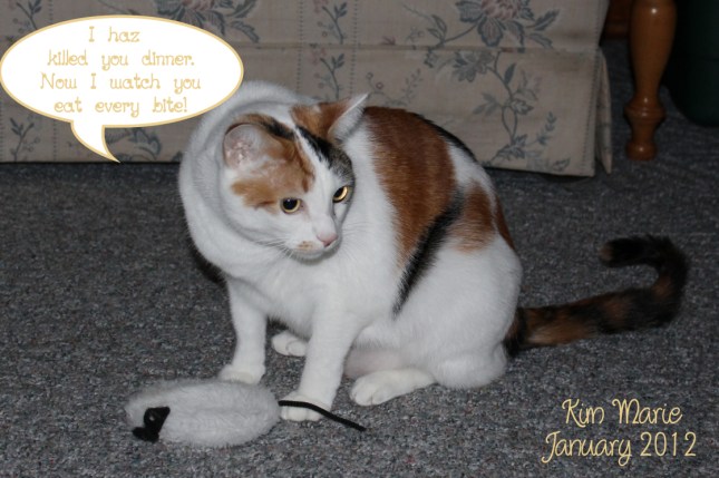 2012_01_12_0605 Sign