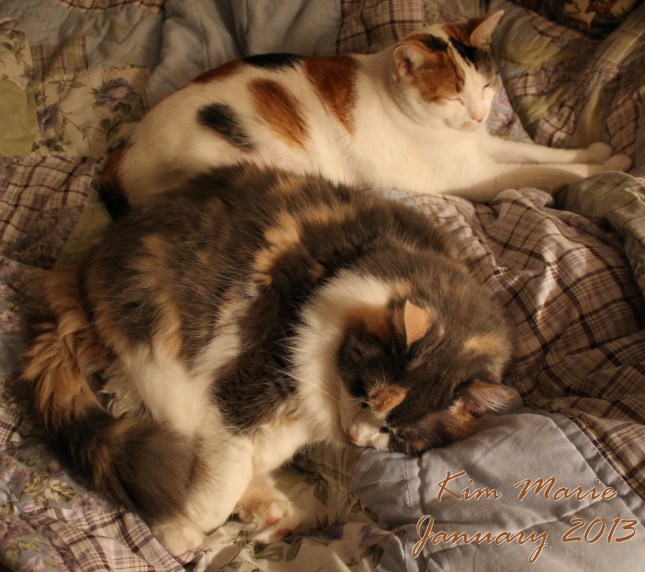 2013_01_07_4018 Sign