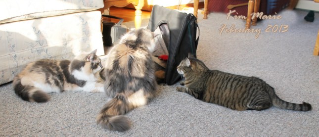 2013_02_25_4140 Sign