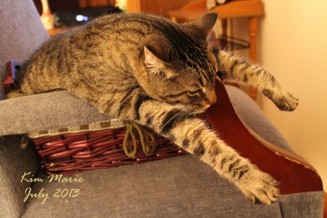 2013_07_07_5392 Sign