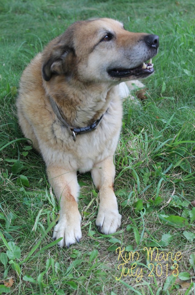 2013_07_27_5519 Sign