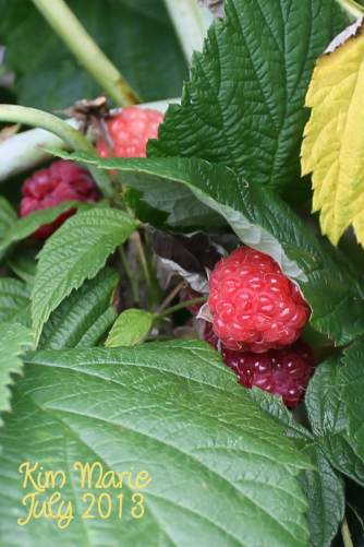 2013_07_27_5534 Sign