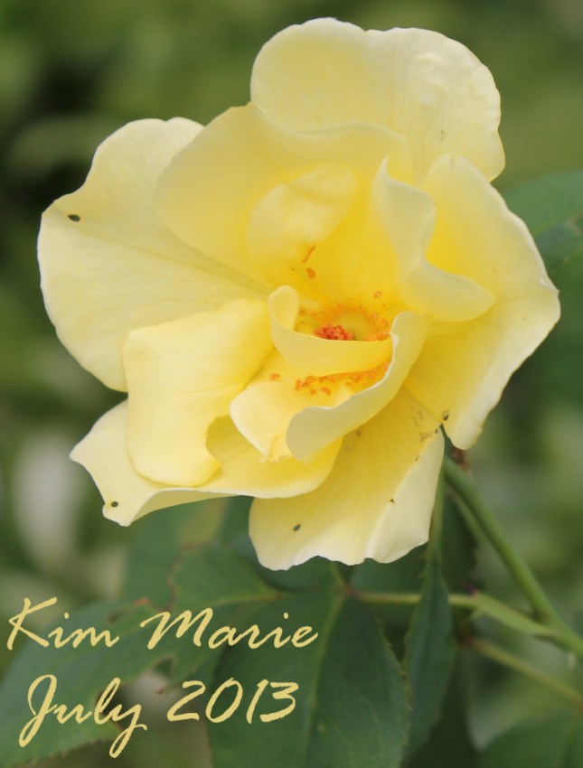 2013_07_27_5589 Sign