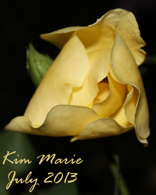 2013_07_27_5596 Sign