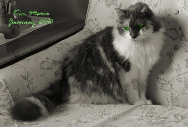 2013_01_19_4034 Gray Green SIGN