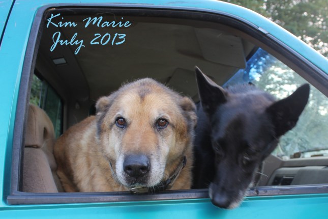 2013_07_25_5499 Sign