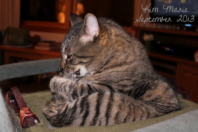 2013_09_07_5750 Sign