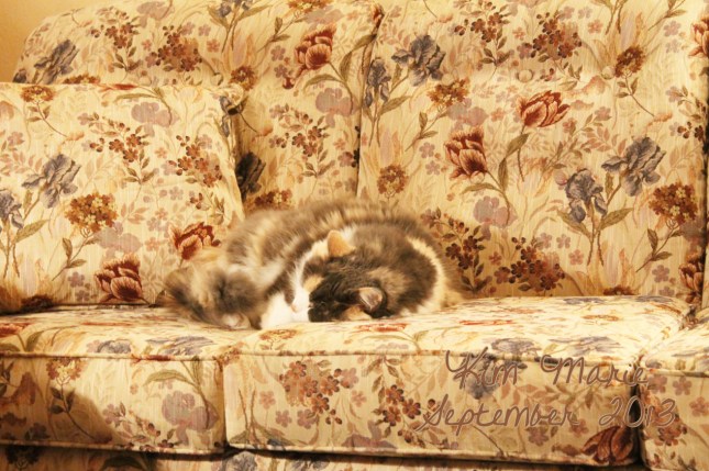 2013_09_24_5902 Sign