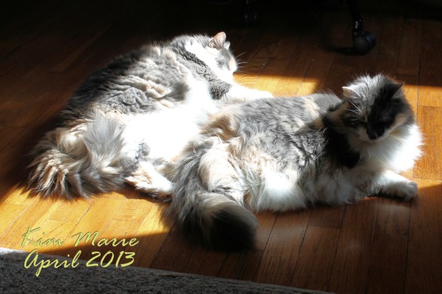 2013_04_21_4652 Sign