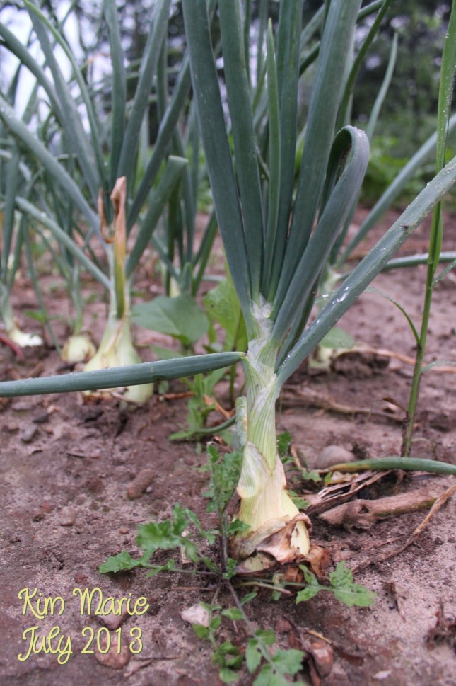 2013_07_06_5351 Sign