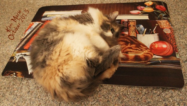 2013_10_06_5984 Sign