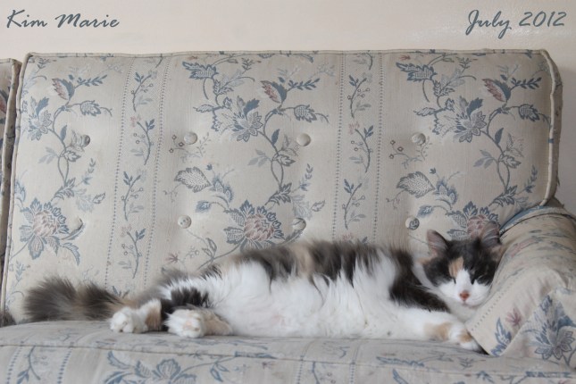 2012_07_14_2393 Sign