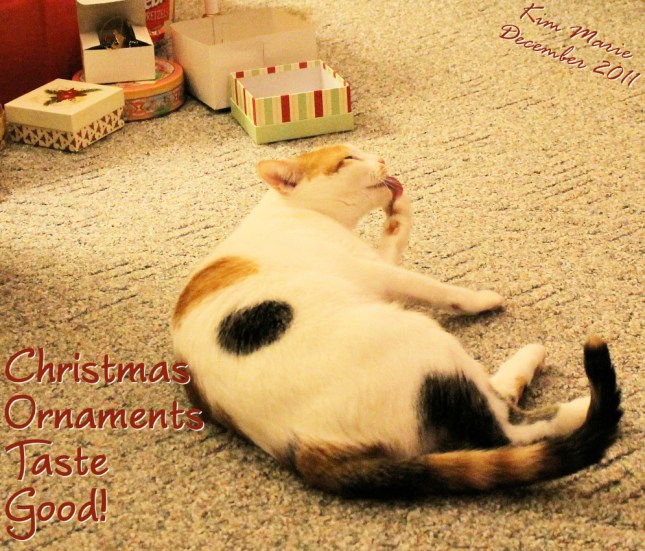 A cat contentedly licking her paw near the empty boxes of Christmas ornaments.
