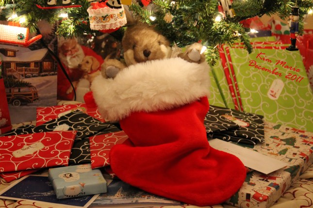 Christmas presents under the Christmas Tree