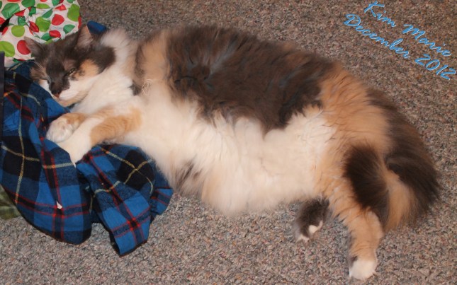 A cat laying on the carpet enjoying a new flannet shirt that was a Christmas present.