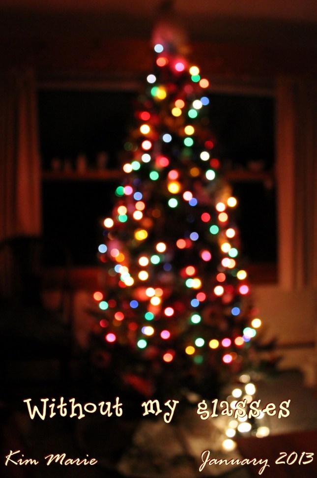 2013_01_06_4005 Sign