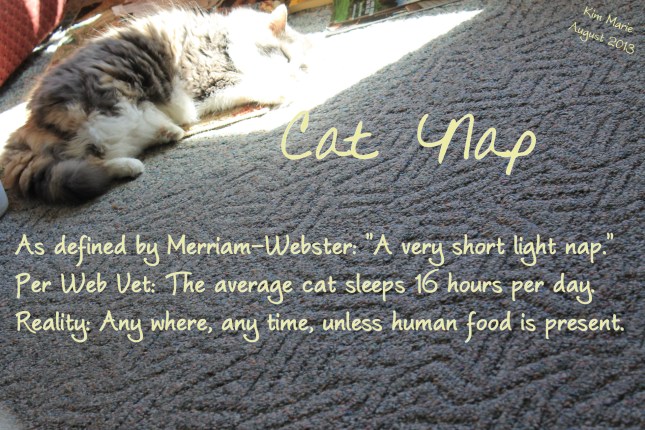 Cat Nap - As defined by Merriam-Webster: "A very short light nap." Per Web Vet: The average cat sleeps 16 hours per day. Reality: Any where, any time, unless food is present.