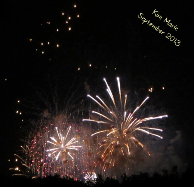 Fireworks in the night sky above the tree line.
