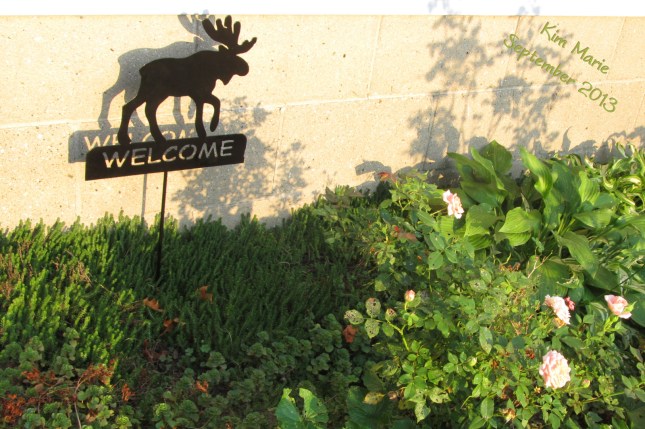 A welcome sign witha moose on it in a garden against a house.