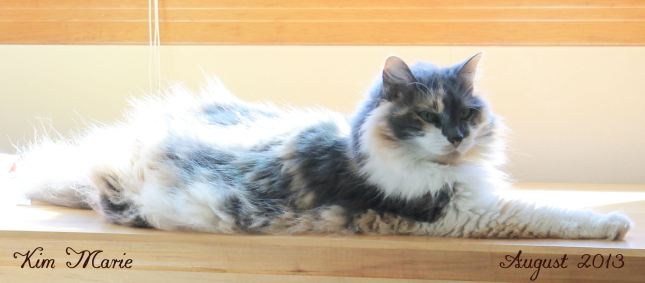 2013_08_23_5720 Small