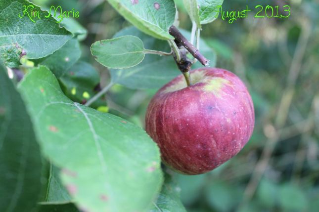 2013_08_04_5676 Sign