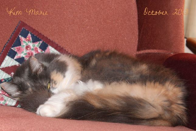 2013_10_17_5999 Sign