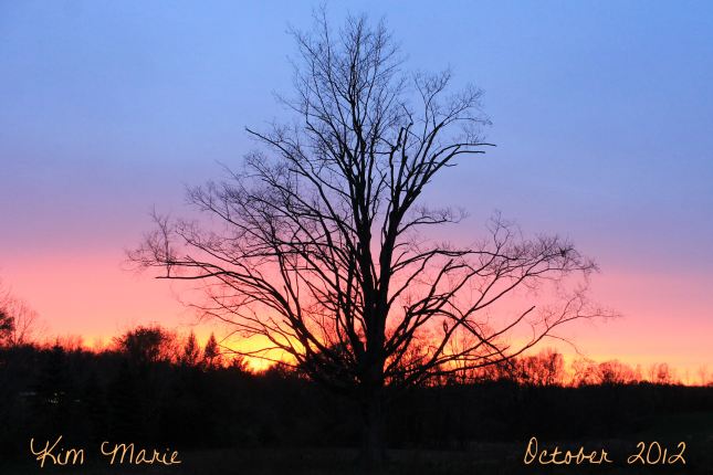 2012_10_29_3581 Signed