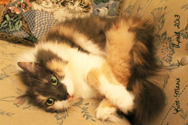 2013_04_13_4522 Sign