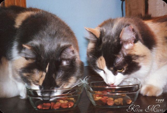 00000714 Daffodil & Daisy Eating 1999